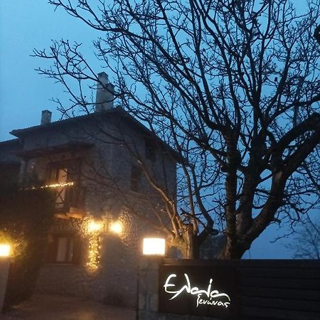 Guesthouse Elaia Synikia Mesi Trikalon Екстериор снимка