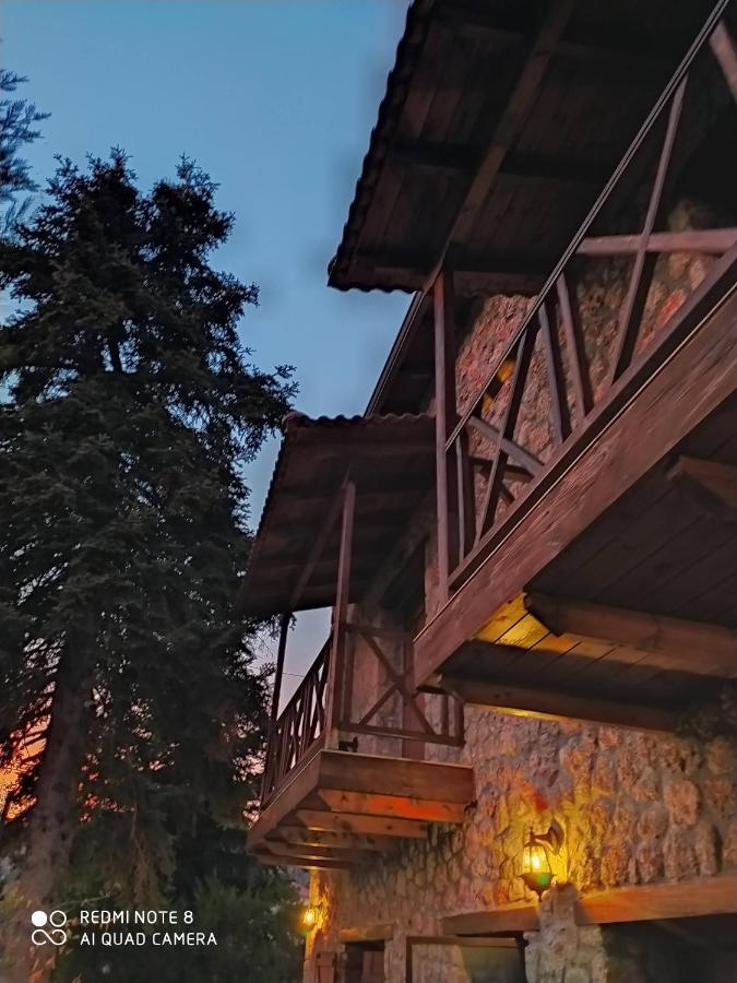 Guesthouse Elaia Synikia Mesi Trikalon Екстериор снимка