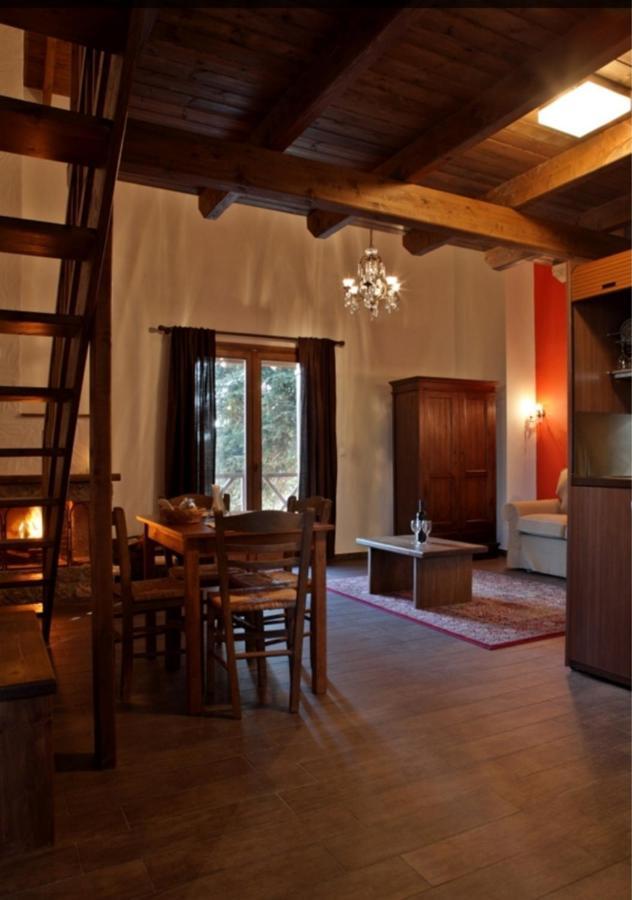 Guesthouse Elaia Synikia Mesi Trikalon Екстериор снимка