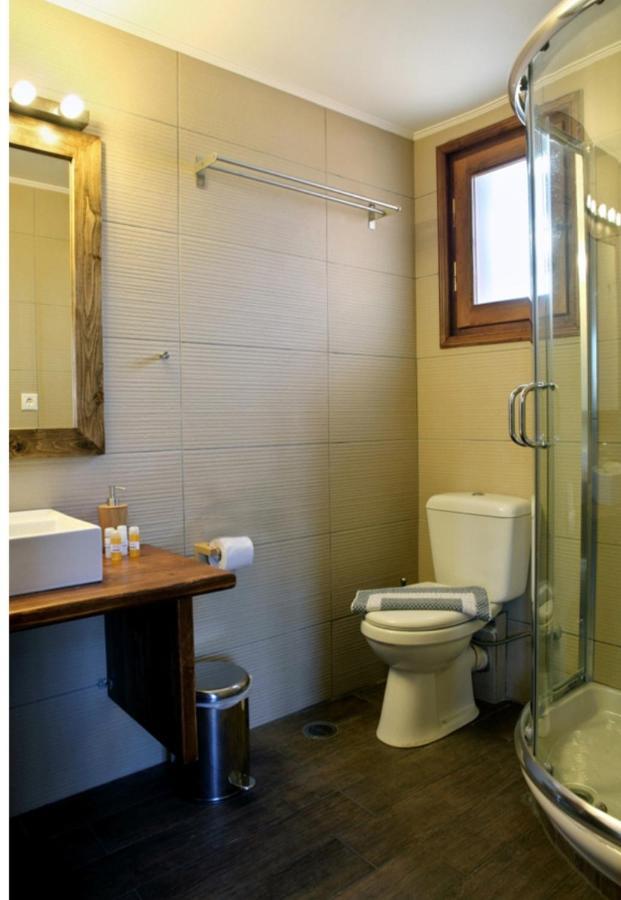 Guesthouse Elaia Synikia Mesi Trikalon Екстериор снимка