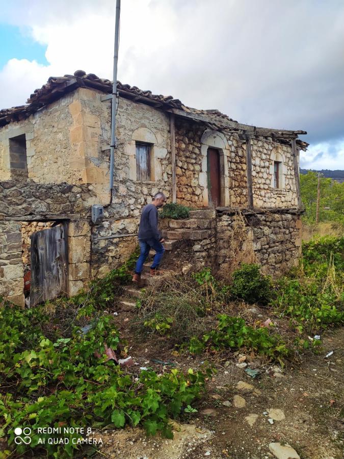 Guesthouse Elaia Synikia Mesi Trikalon Екстериор снимка