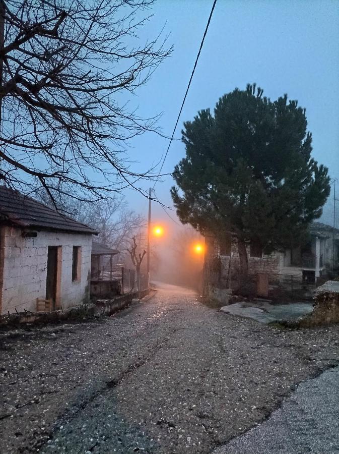 Guesthouse Elaia Synikia Mesi Trikalon Екстериор снимка