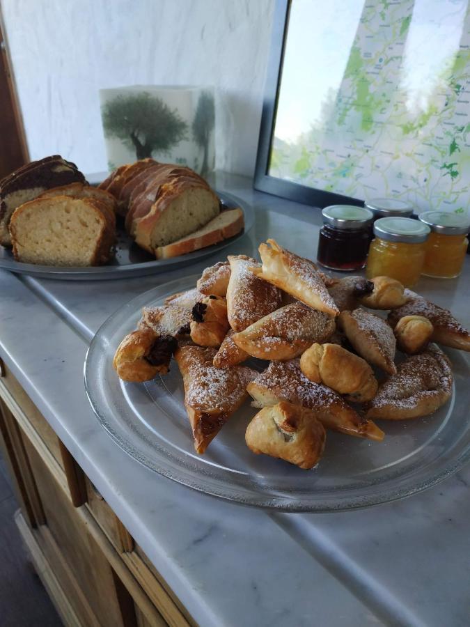Guesthouse Elaia Synikia Mesi Trikalon Екстериор снимка
