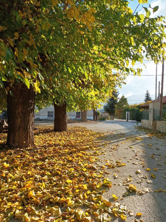 Guesthouse Elaia Synikia Mesi Trikalon Екстериор снимка