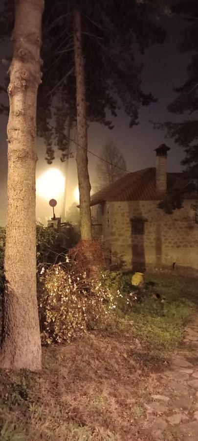 Guesthouse Elaia Synikia Mesi Trikalon Екстериор снимка