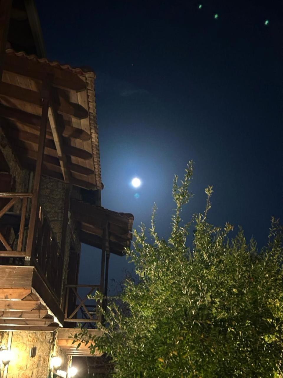 Guesthouse Elaia Synikia Mesi Trikalon Екстериор снимка