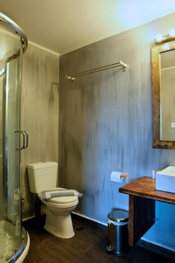 Guesthouse Elaia Synikia Mesi Trikalon Екстериор снимка