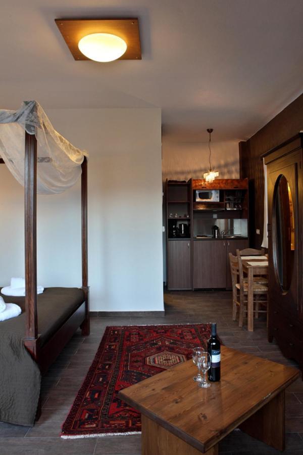 Guesthouse Elaia Synikia Mesi Trikalon Екстериор снимка