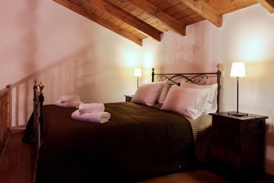 Guesthouse Elaia Synikia Mesi Trikalon Екстериор снимка