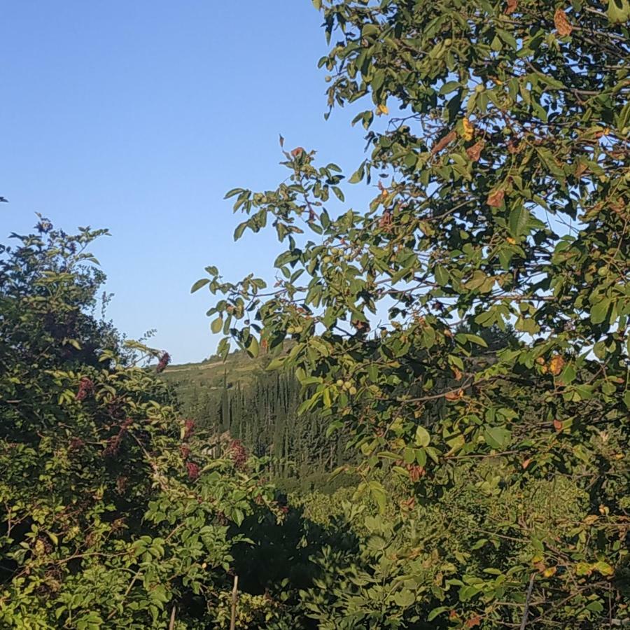 Guesthouse Elaia Synikia Mesi Trikalon Екстериор снимка